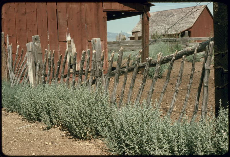 Illustration for article titled Barbed Wire